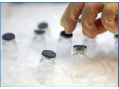 Seven forms of cold chain logistics transportation