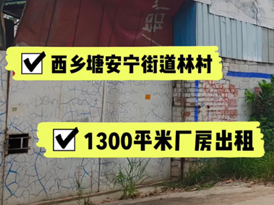 廣西南寧西鄉(xiāng)塘區(qū)有1300平米普通倉庫純租 (625播放)
