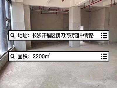 湖南長沙開福區(qū)有2200平米普通倉庫純租 (540播放)