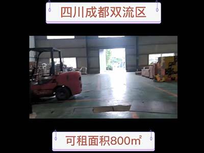 四川成都雙流區(qū)有800平米普通倉(cāng)庫(kù)純租 (187播放)
